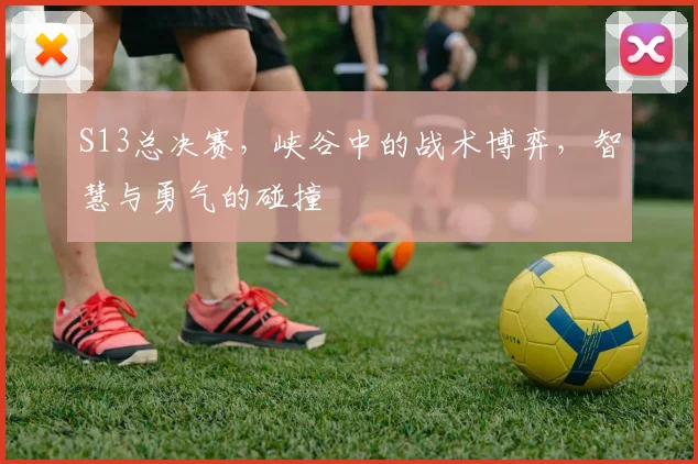 S13总决赛，峡谷中的战术博弈，智慧与勇气的碰撞