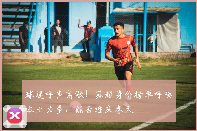 球迷呼声高涨!苏超身价榜单呼唤本土力量,能否迎来春天